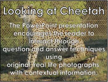 Detail Cheetah Powerpoint Nomer 48
