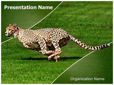 Detail Cheetah Powerpoint Nomer 50