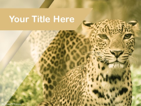 Detail Cheetah Powerpoint Nomer 59