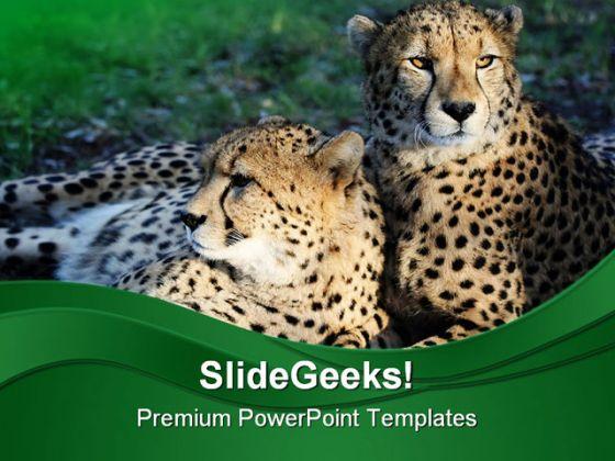 Detail Cheetah Powerpoint Nomer 7