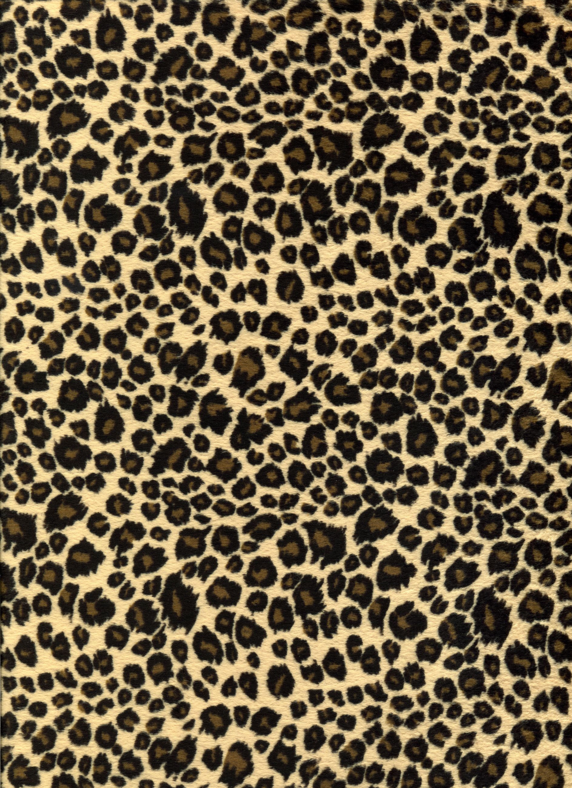 Detail Cheetah Print Background Wallpaper Nomer 11