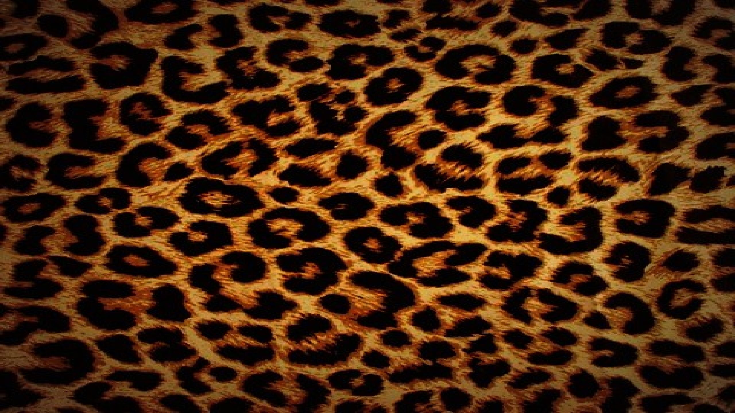 Detail Cheetah Print Background Wallpaper Nomer 34