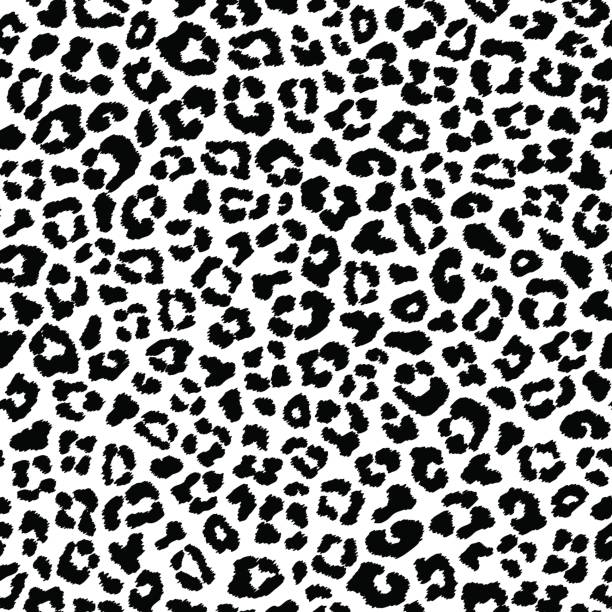 Detail Cheetah Print Clip Art Nomer 3