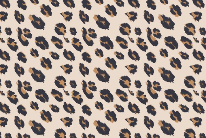 Detail Cheetah Print Desktop Background Nomer 11