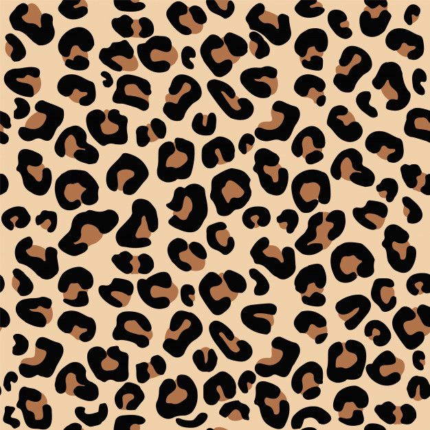 Detail Cheetah Print Desktop Wallpaper Nomer 24