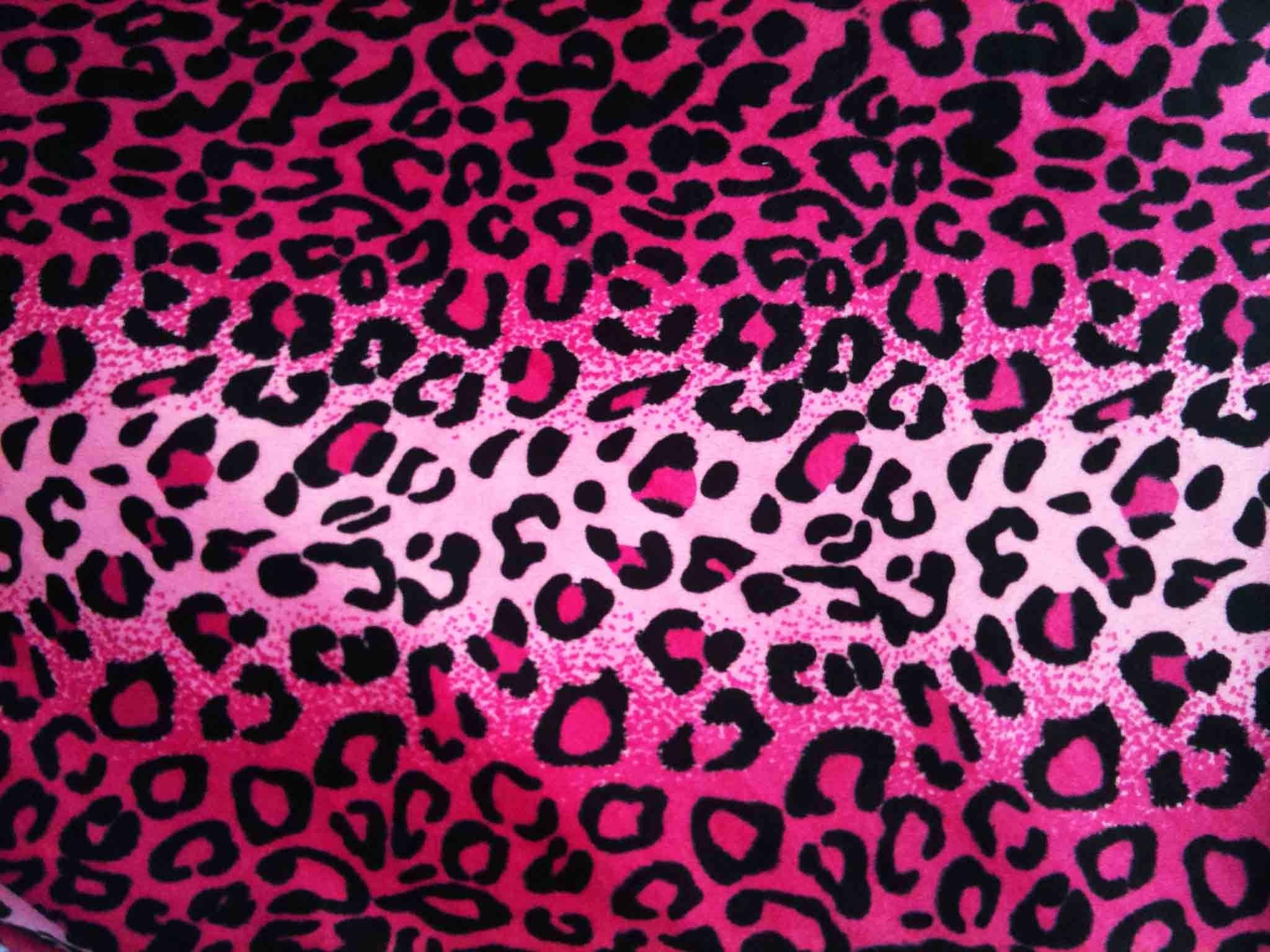 Detail Cheetah Print Desktop Wallpaper Nomer 35