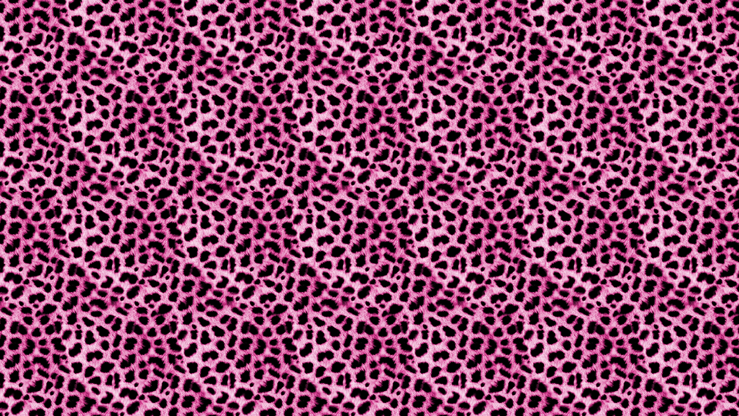 Detail Cheetah Print Desktop Wallpaper Nomer 55