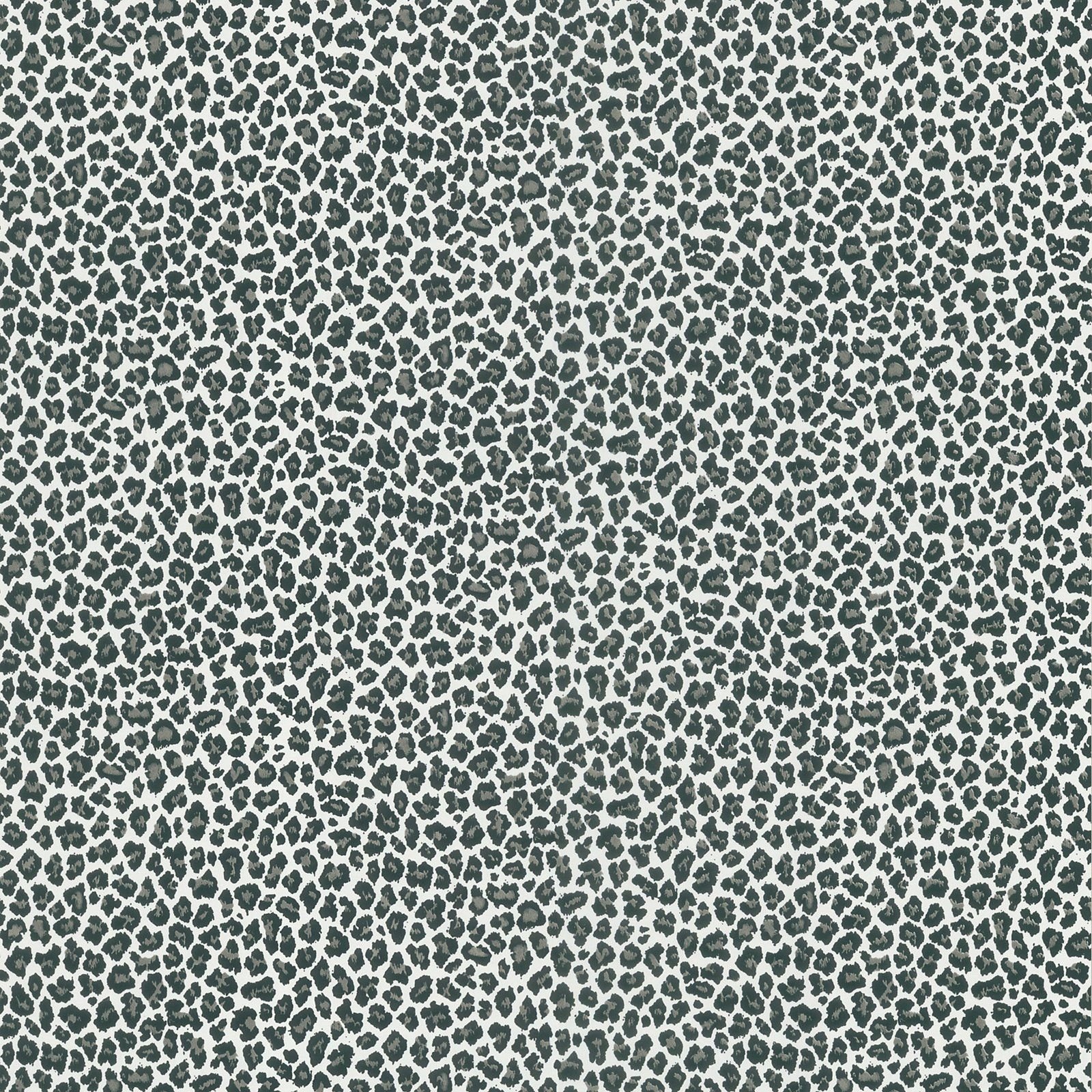 Detail Cheetah Print Desktop Wallpaper Nomer 56