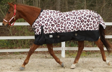 Cheetah Print Horse Blanket - KibrisPDR