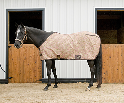 Detail Cheetah Print Horse Blanket Nomer 54