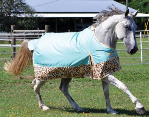 Detail Cheetah Print Horse Blanket Nomer 8