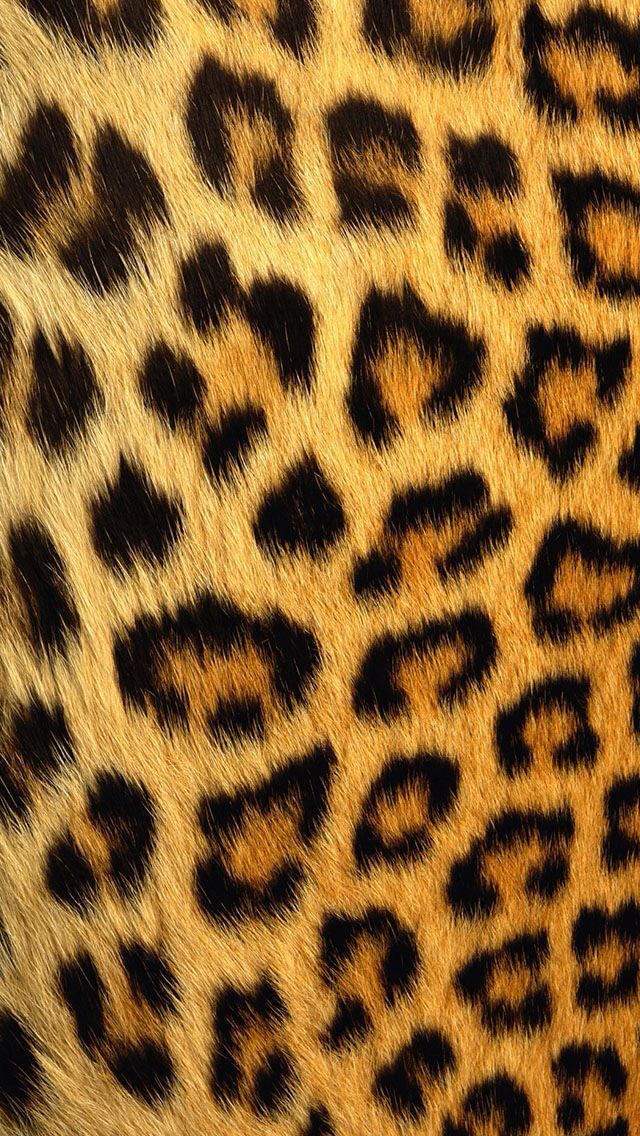 Detail Cheetah Print Iphone Background Nomer 32