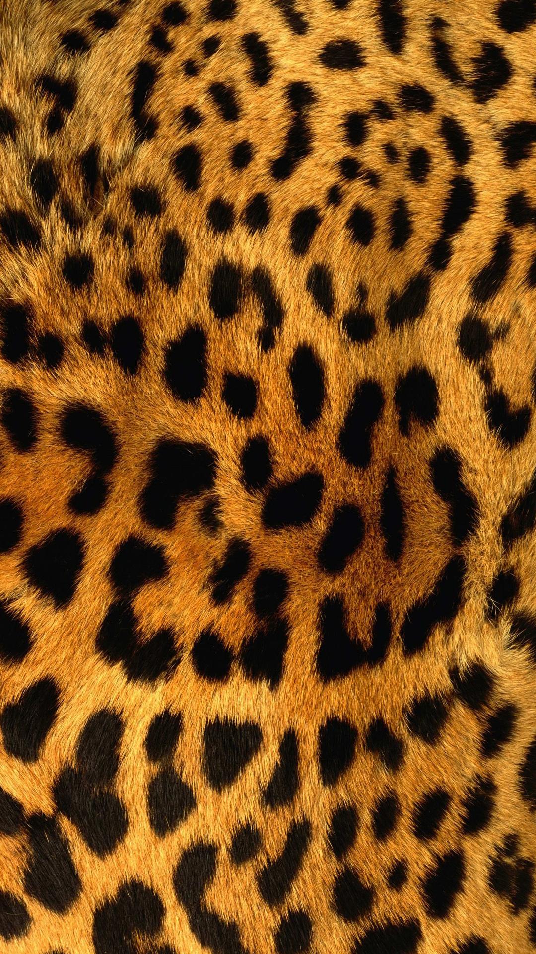 Detail Cheetah Print Iphone Background Nomer 43
