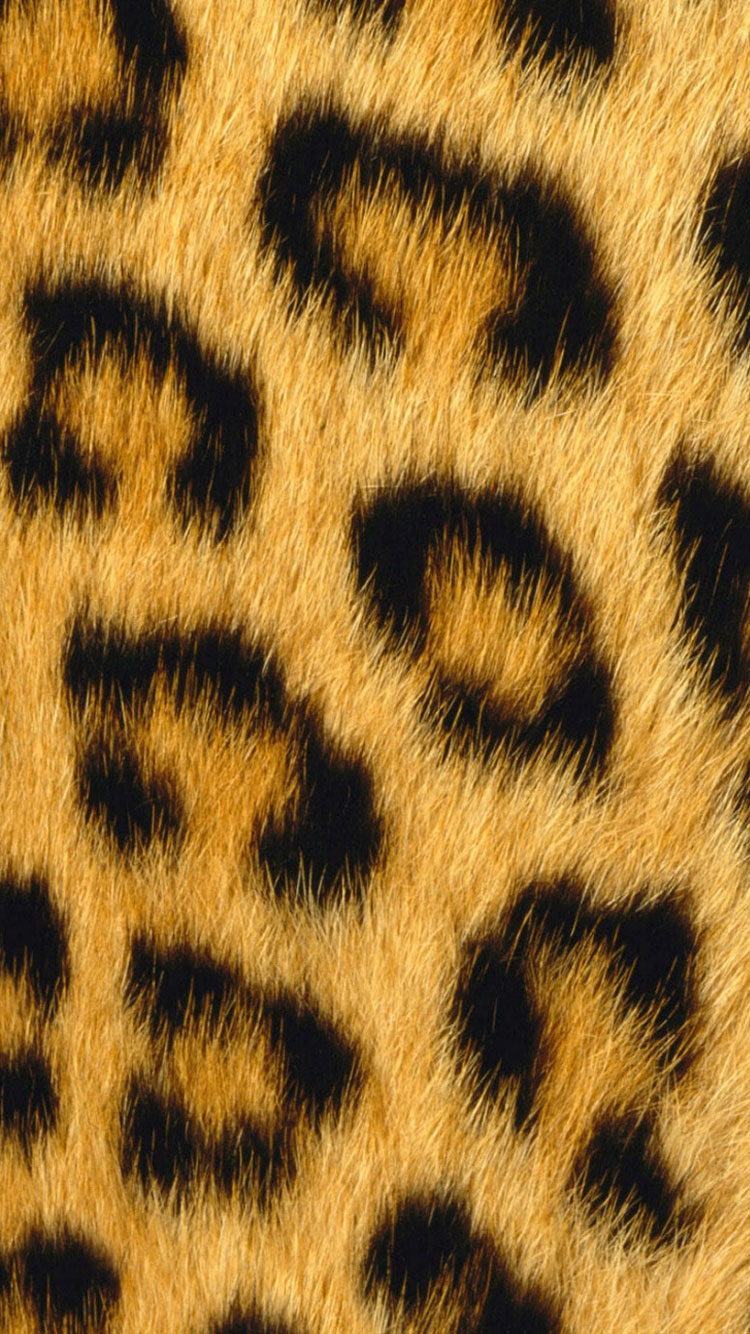 Detail Cheetah Print Iphone Background Nomer 48