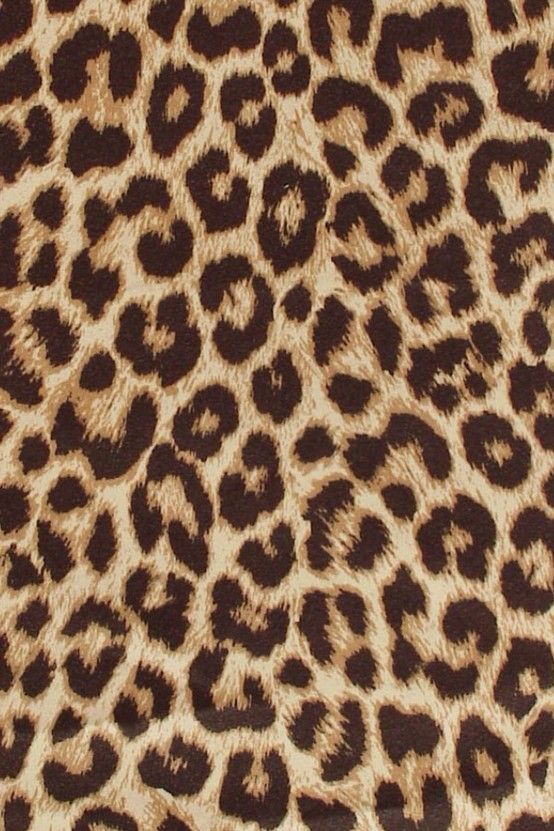 Detail Cheetah Print Iphone Background Nomer 55