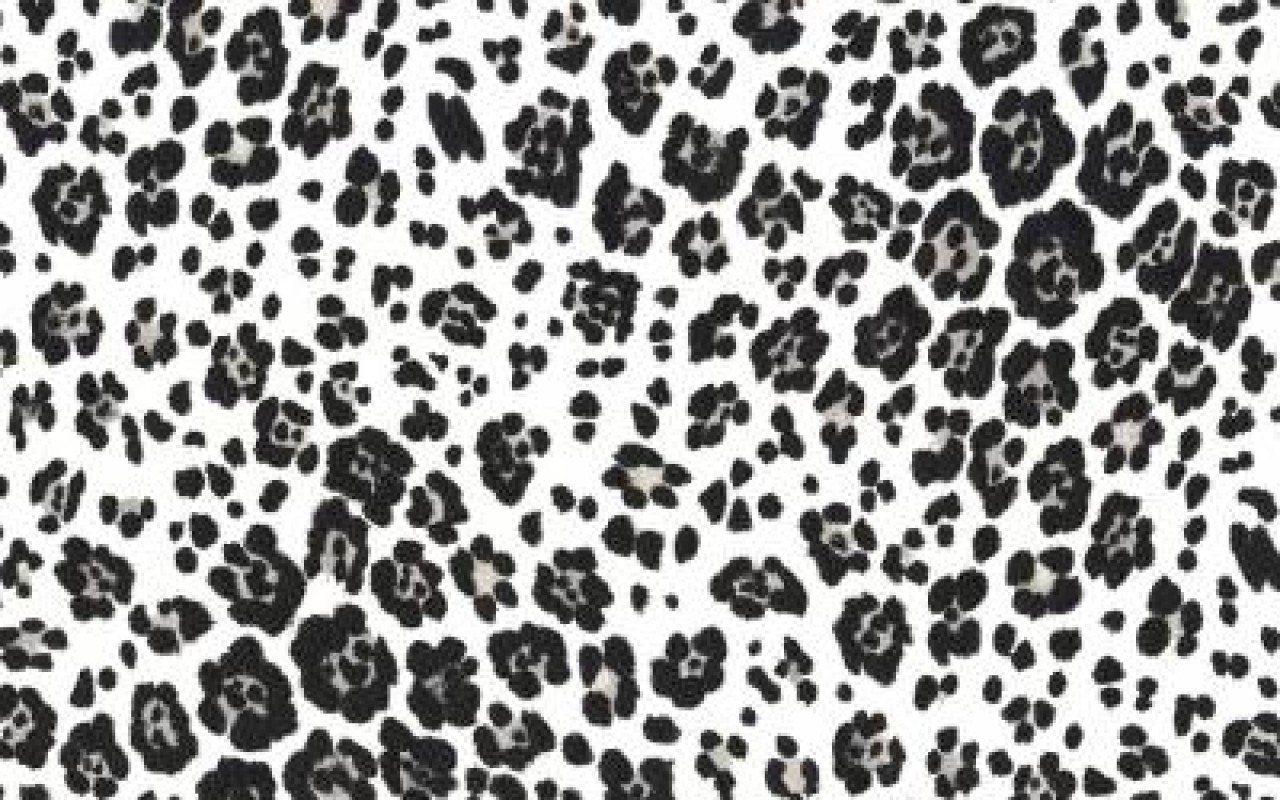 Detail Cheetah Print Wallpaper For Computer Nomer 19