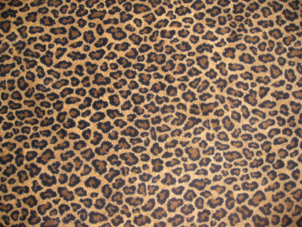 Detail Cheetah Print Wallpaper For Computer Nomer 25