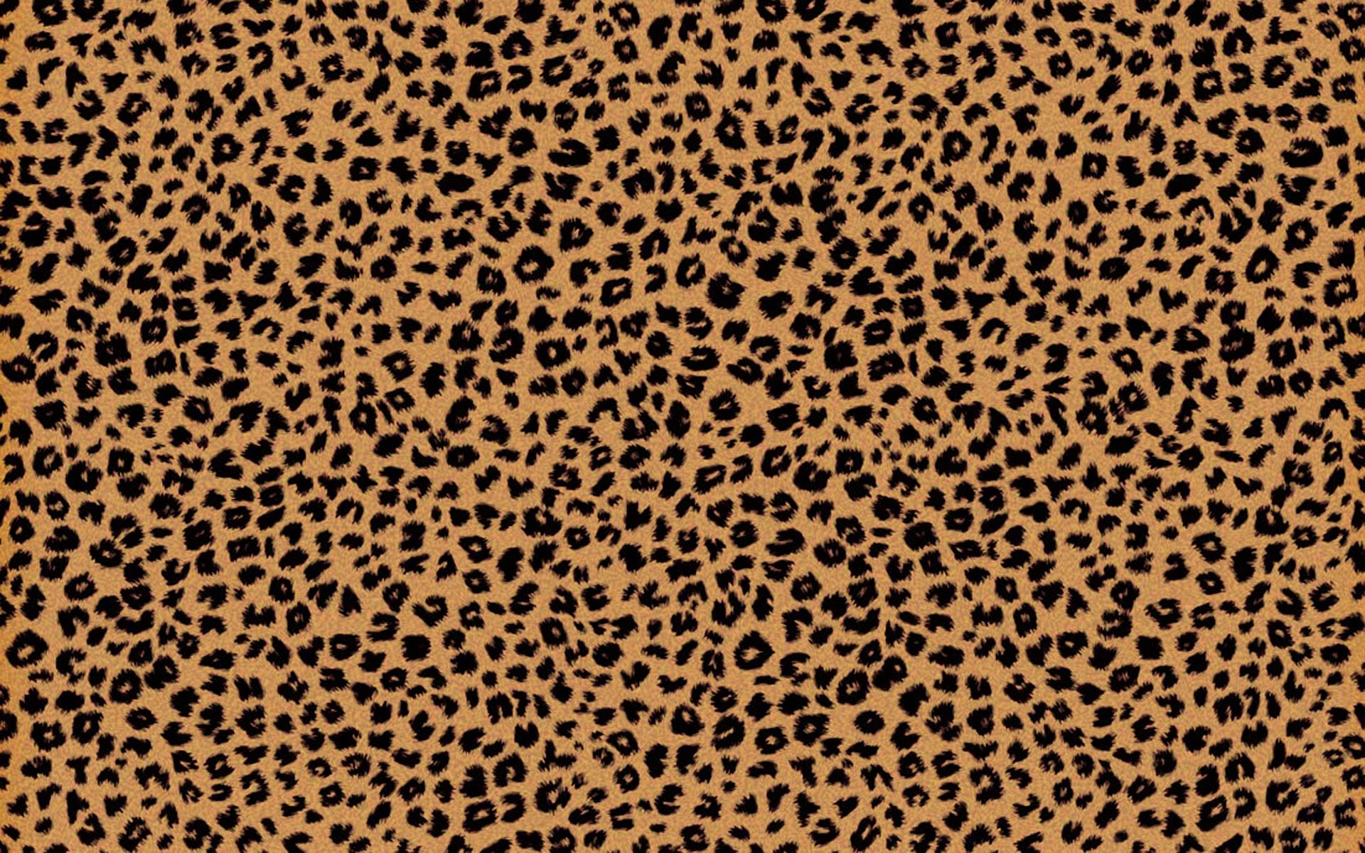 Detail Cheetah Print Wallpaper For Computer Nomer 30