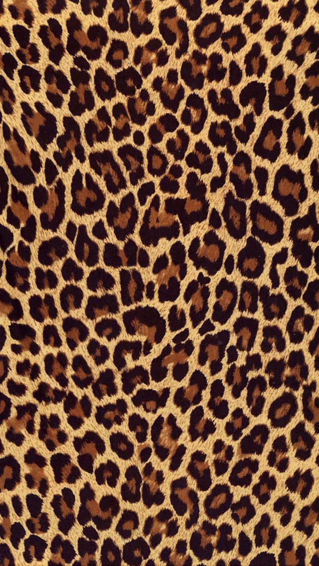 Detail Cheetah Print Wallpaper For Computer Nomer 31