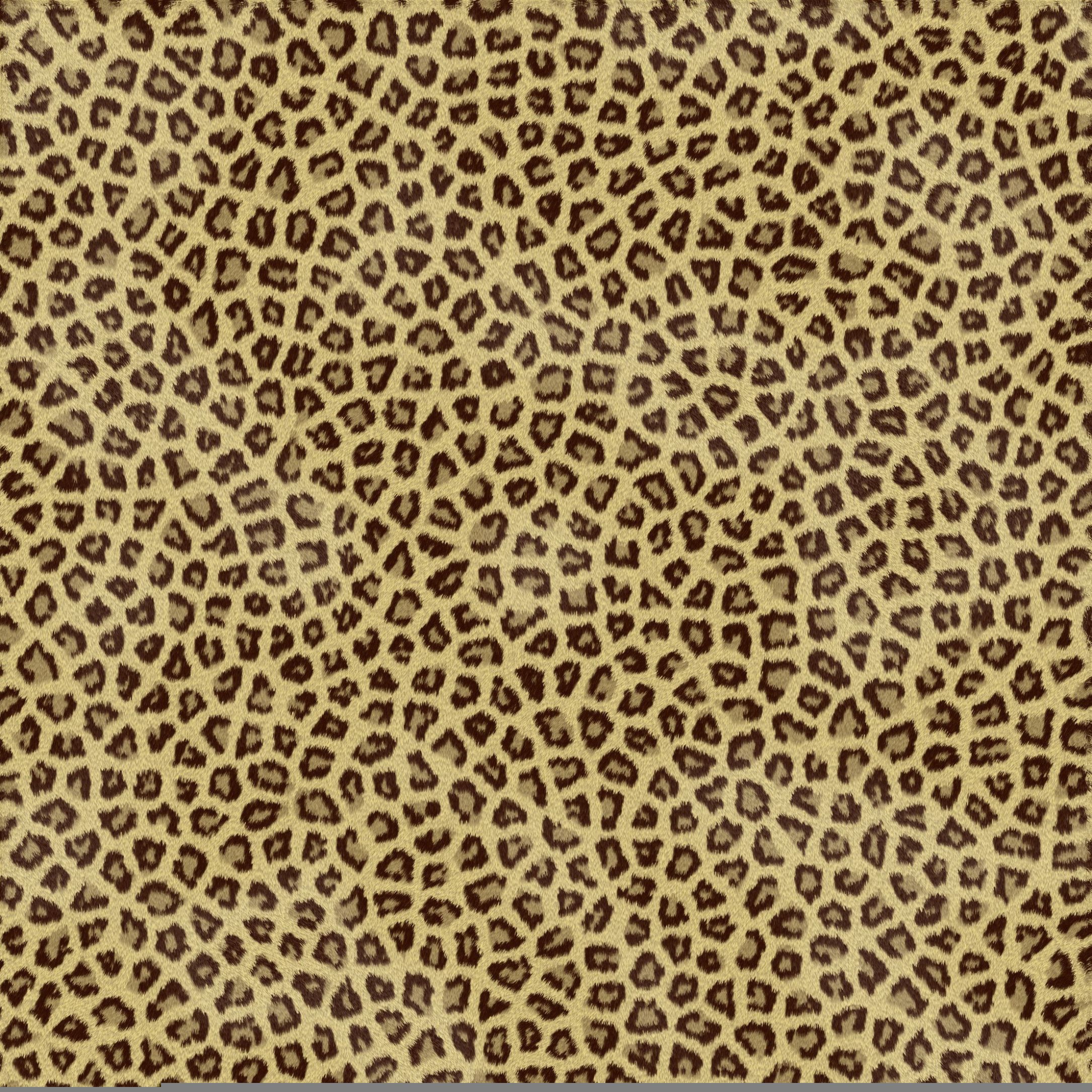 Detail Cheetah Print Wallpaper For Computer Nomer 33