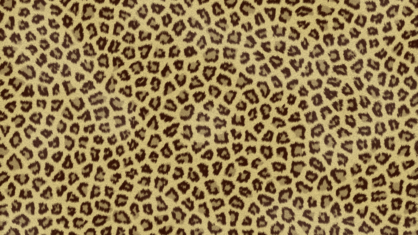 Detail Cheetah Print Wallpaper For Computer Nomer 34
