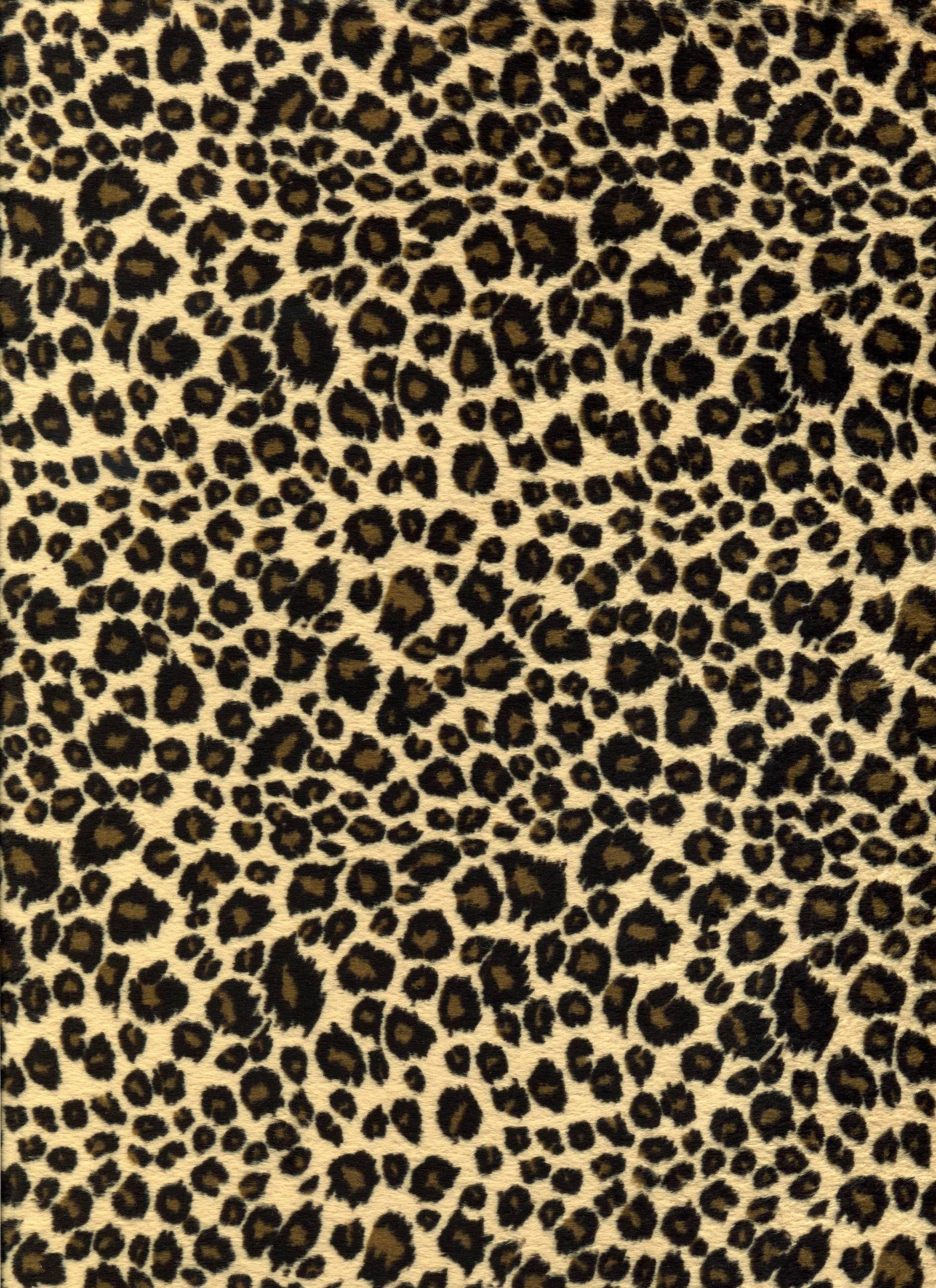 Detail Cheetah Print Wallpaper For Computer Nomer 38