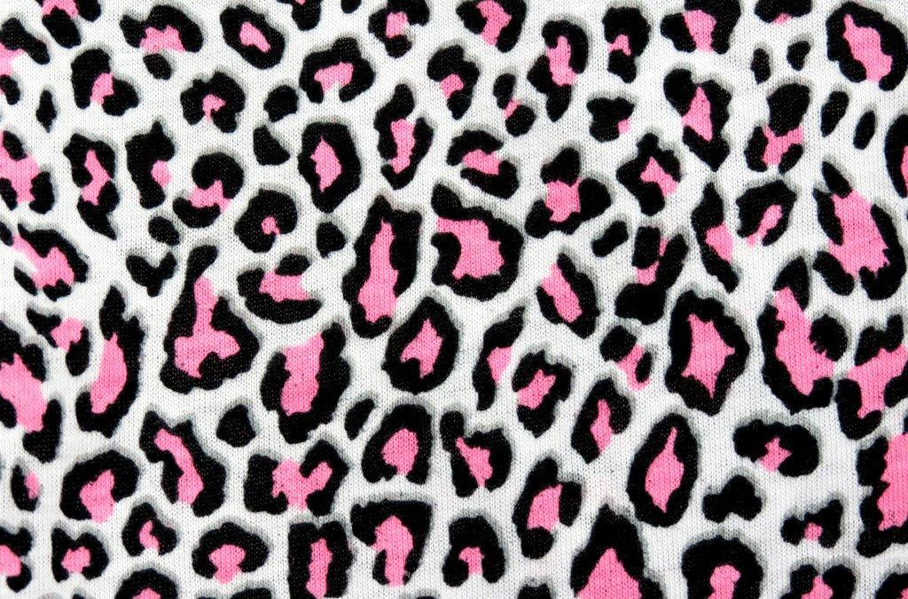 Detail Cheetah Print Wallpaper For Computer Nomer 44