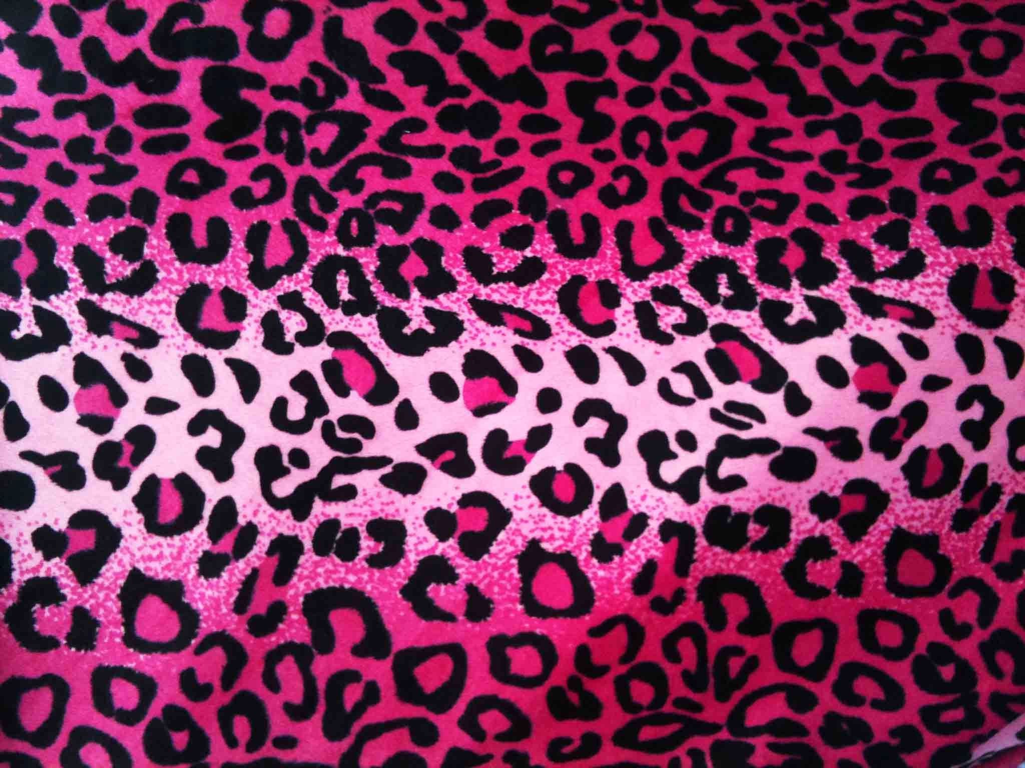 Detail Cheetah Print Wallpaper For Computer Nomer 50