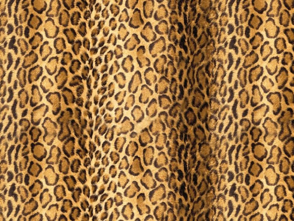 Detail Cheetah Print Wallpaper For Computer Nomer 52