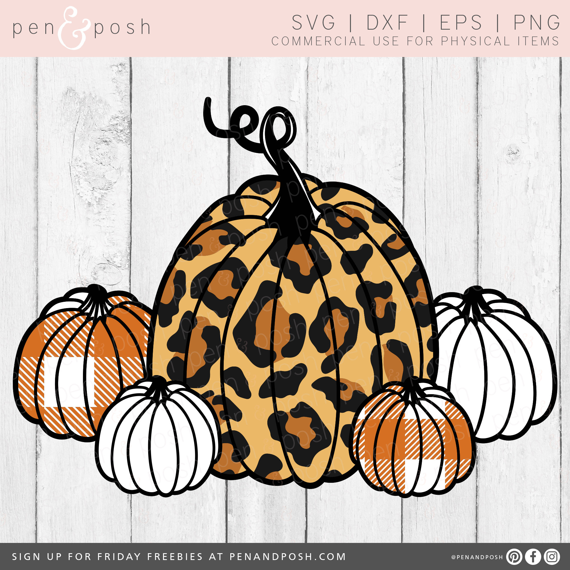 Detail Cheetah Pumpkin Clipart Nomer 5