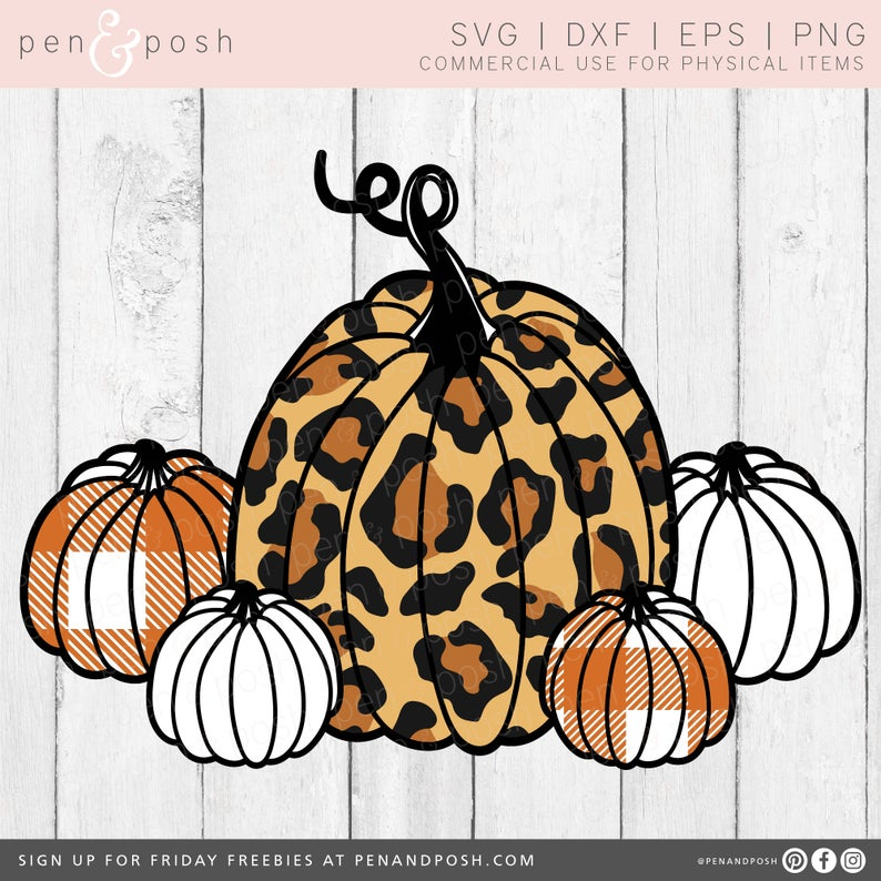 Detail Cheetah Pumpkin Png Nomer 43