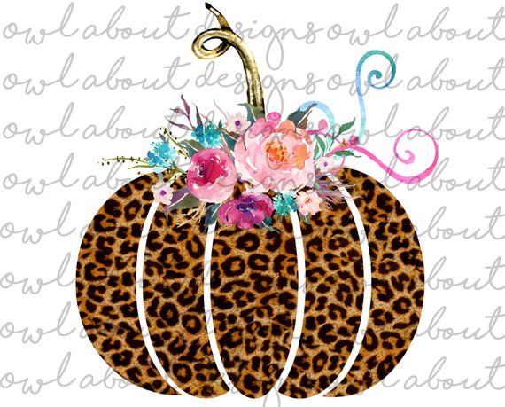 Detail Cheetah Pumpkin Png Nomer 9