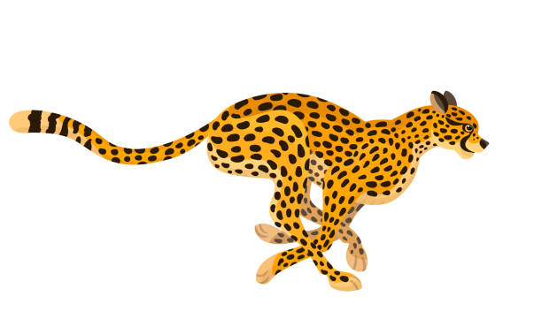 Detail Cheetah Running Clipart Nomer 3