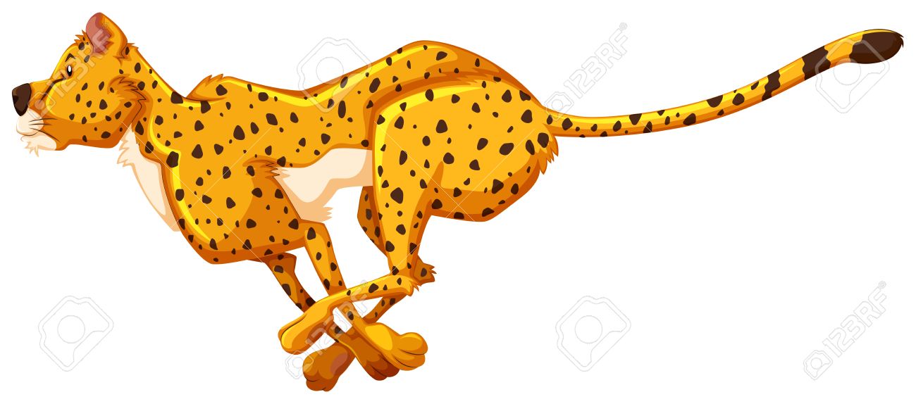 Detail Cheetah Running Clipart Nomer 34