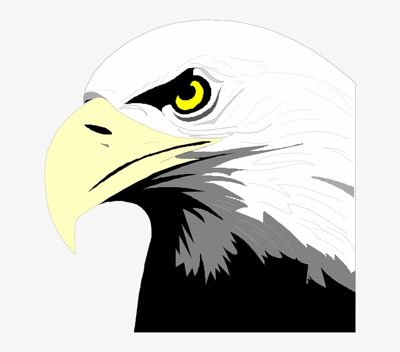 Detail Eagle Head Nomer 8