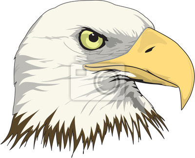 Detail Eagle Head Nomer 18