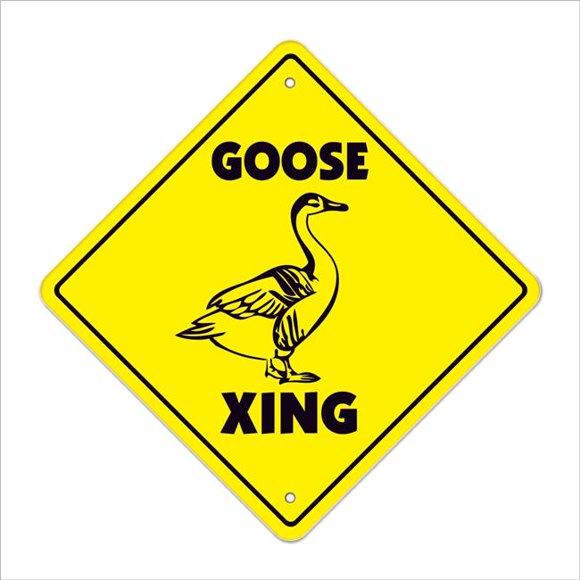 Detail Goose Warning Sign Nomer 18