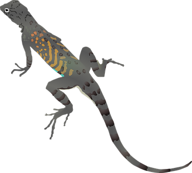 Detail Leoparden Eidechse Nomer 8