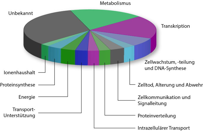 Detail Vaterschaft Anhand Eines Bildes Nomer 21