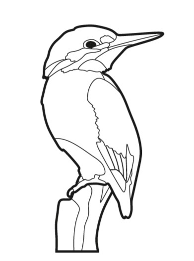 Detail Ausmalbild Eisvogel Nomer 2