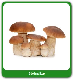 Detail Bilder Steinpilze Nomer 6