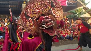 Detail Gambar Barongan Samboyo Putro Nomer 21