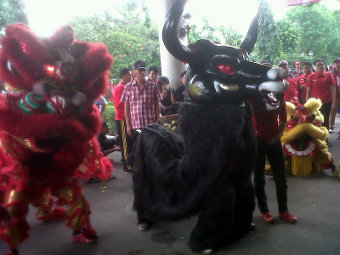 Detail Gambar Barongsai Hitam Putih Nomer 23