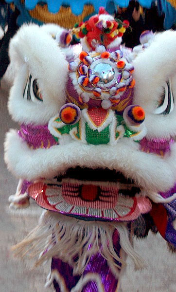 Detail Gambar Barongsai Hitam Putih Nomer 29