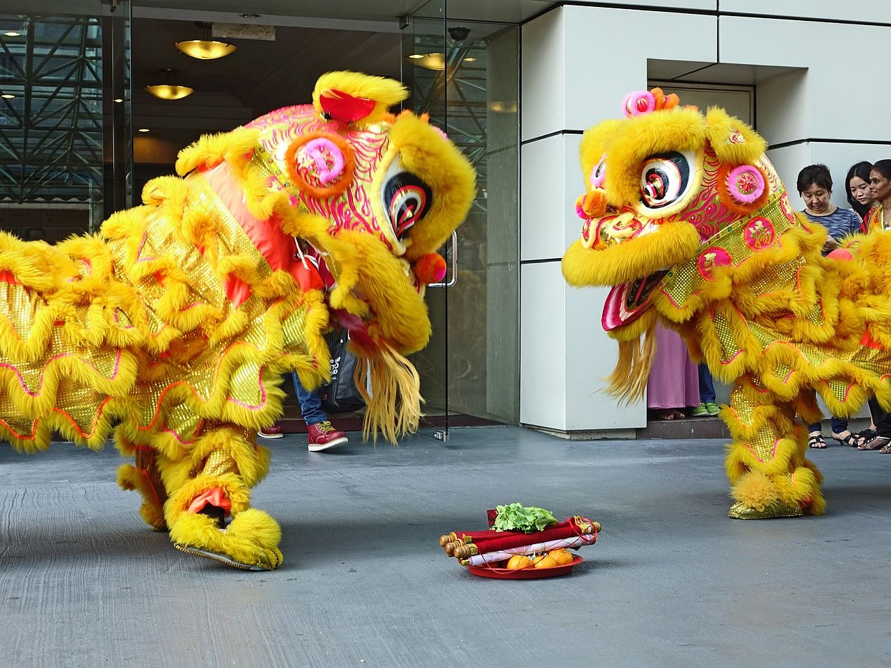 Detail Gambar Barongsai Hitam Putih Nomer 30