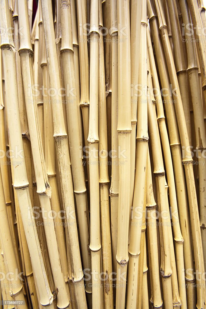 Detail Gambar Batang Bambu Nomer 41