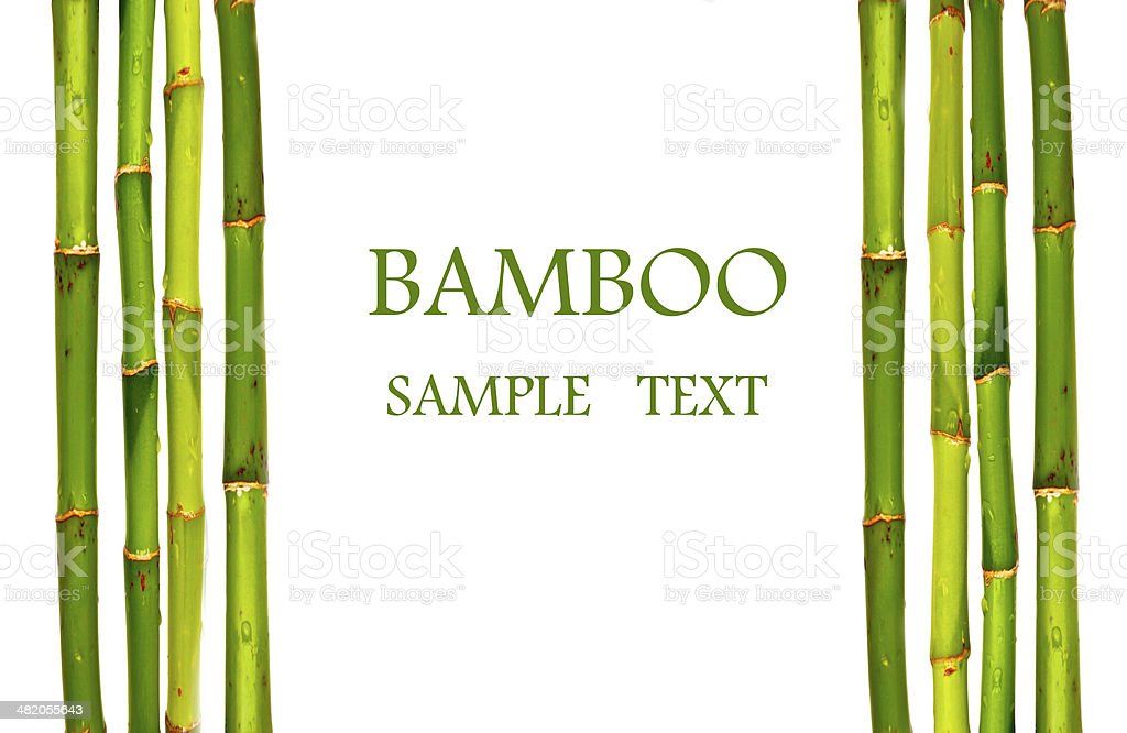 Detail Gambar Batang Bambu Nomer 53