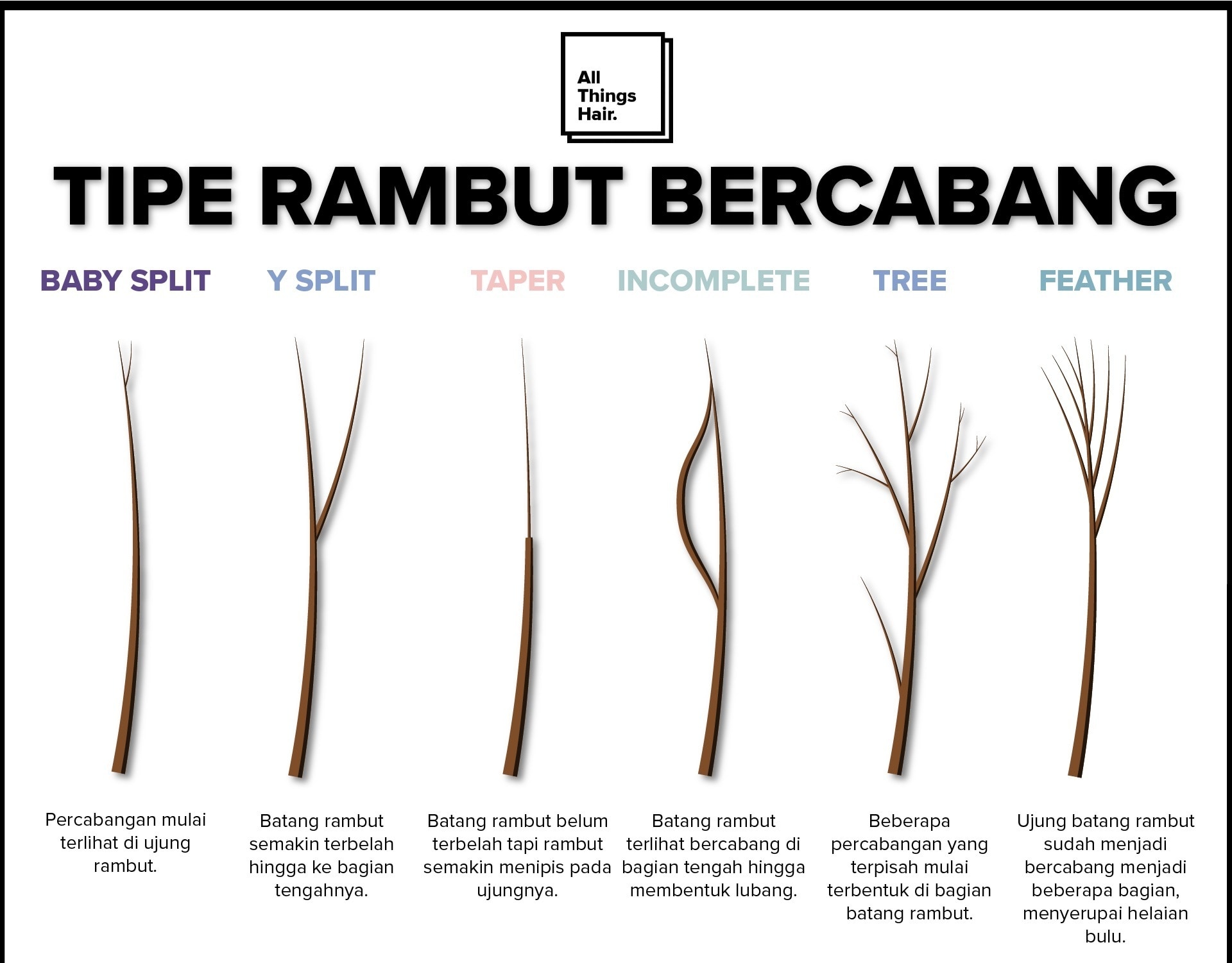 Detail Gambar Batang Bercabang Nomer 47