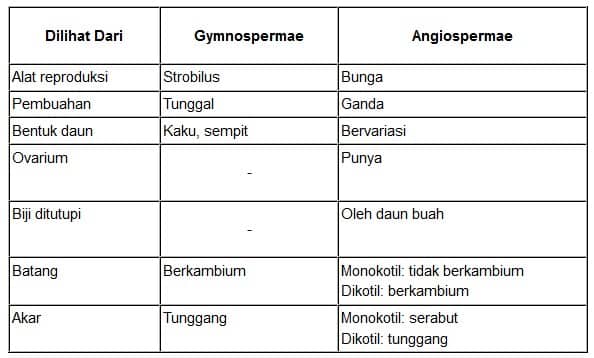 Detail Gambar Batang Berkambium Nomer 56