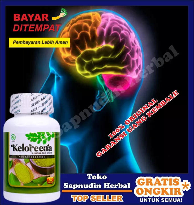 Detail Gambar Batang Otak Nomer 47